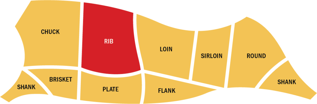 Beef cuts chart showing where the Rib Eye steak comes from